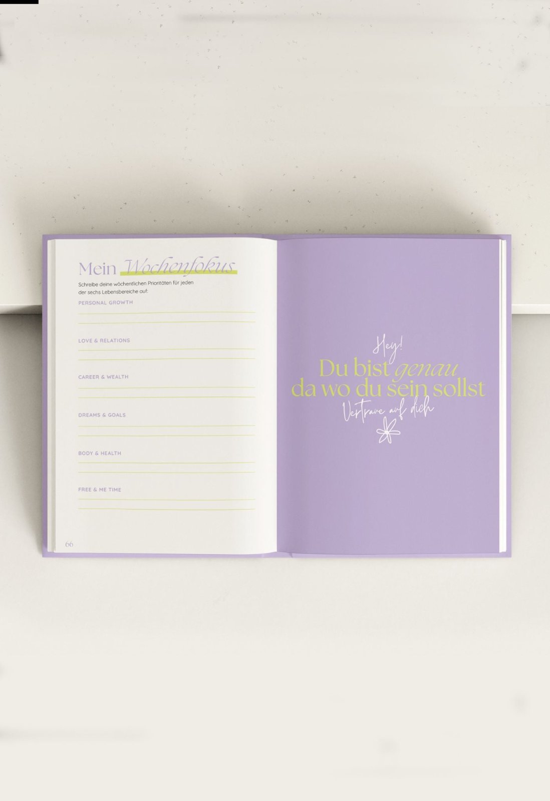 New Year New Me Bundle